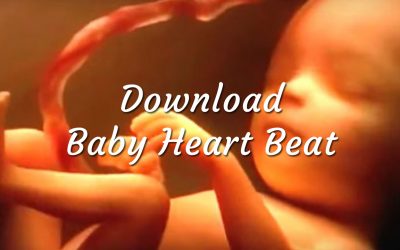Download Baby Heartbeat Womb Sounds