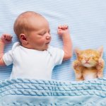 Baby Sleep Guide For Peaceful Sleep