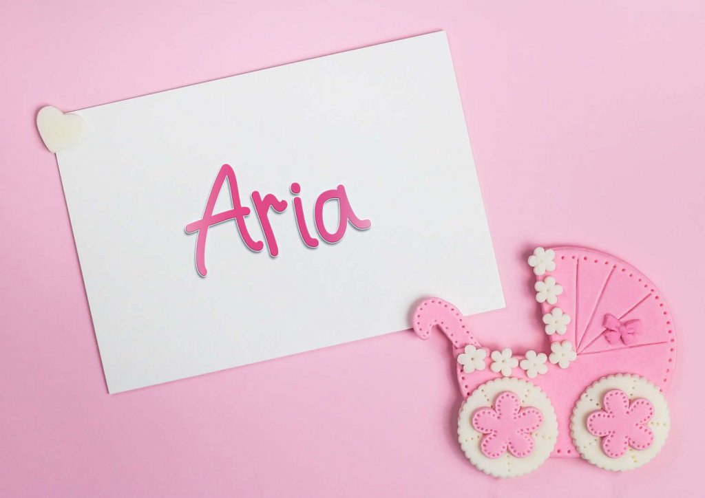 aria name meaning