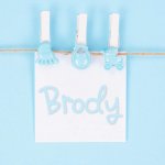 Brody: Boys Baby Name Meaning