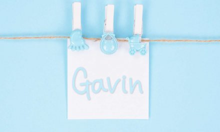 Gavin: Boys Baby Name Meaning