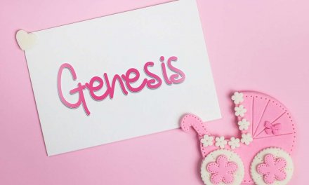 Genesis: Girls Baby Name Meaning